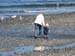 Qualicum-Beach