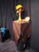 Sunshine-Coast-Madeira-ParkFibreworks_Studio